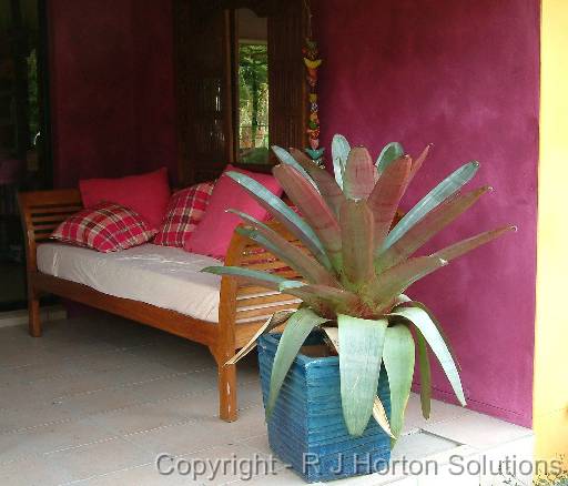 Bromeliad seat 